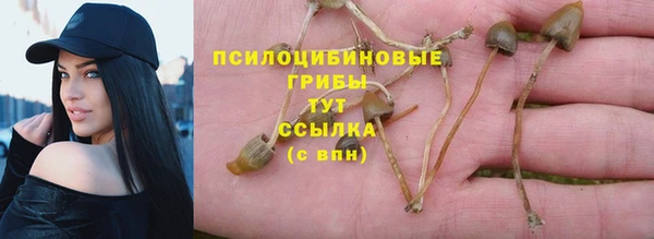 не бодяженный Аркадак