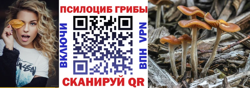 Псилоцибиновые грибы мицелий Муравленко